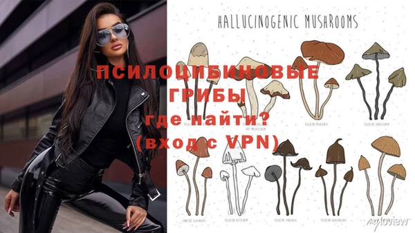 кокаин перу Инсар
